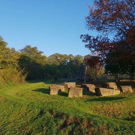 Dorridge Park and Dorridge Wood
